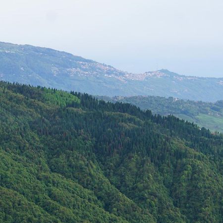 Tranquil Retreat Homestay Ghum エクステリア 写真