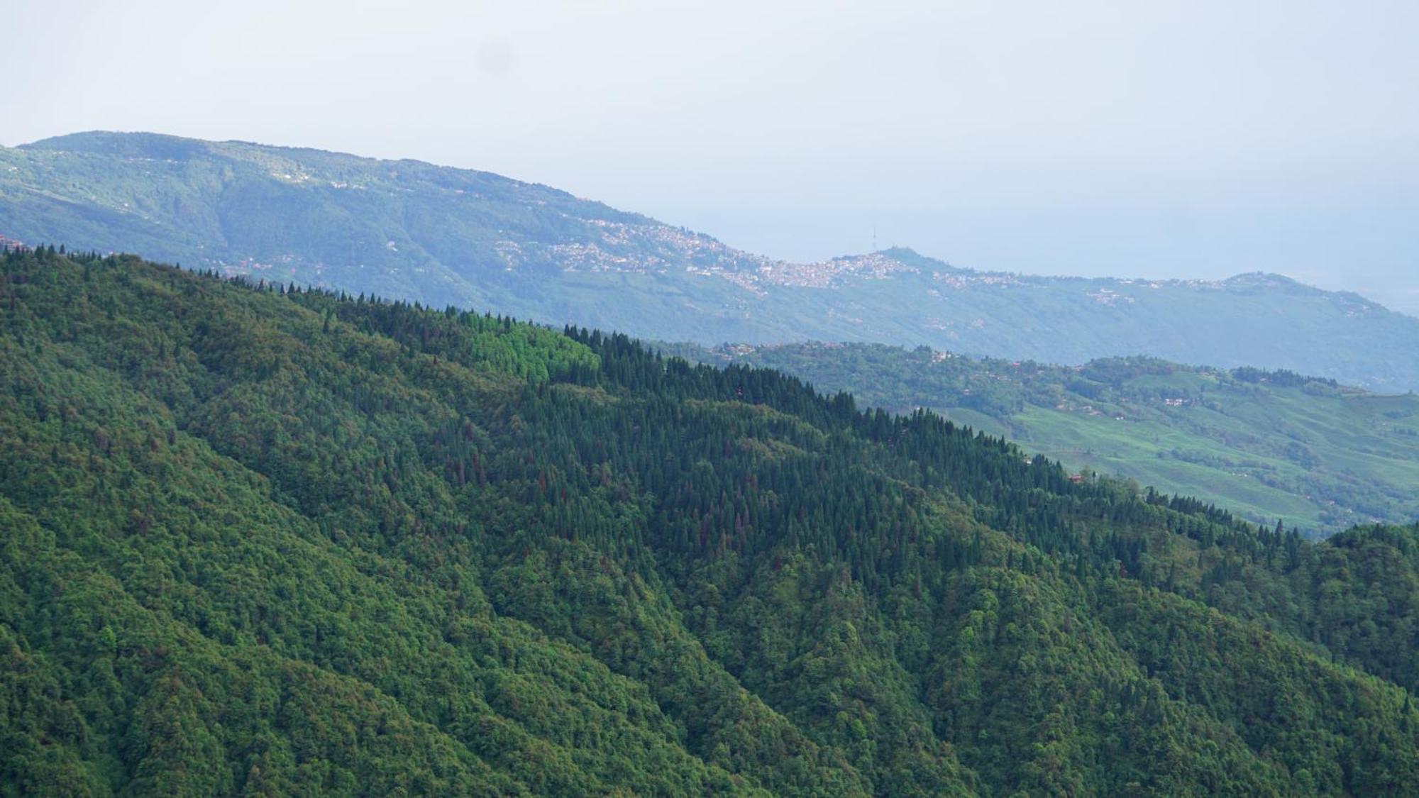 Tranquil Retreat Homestay Ghum エクステリア 写真