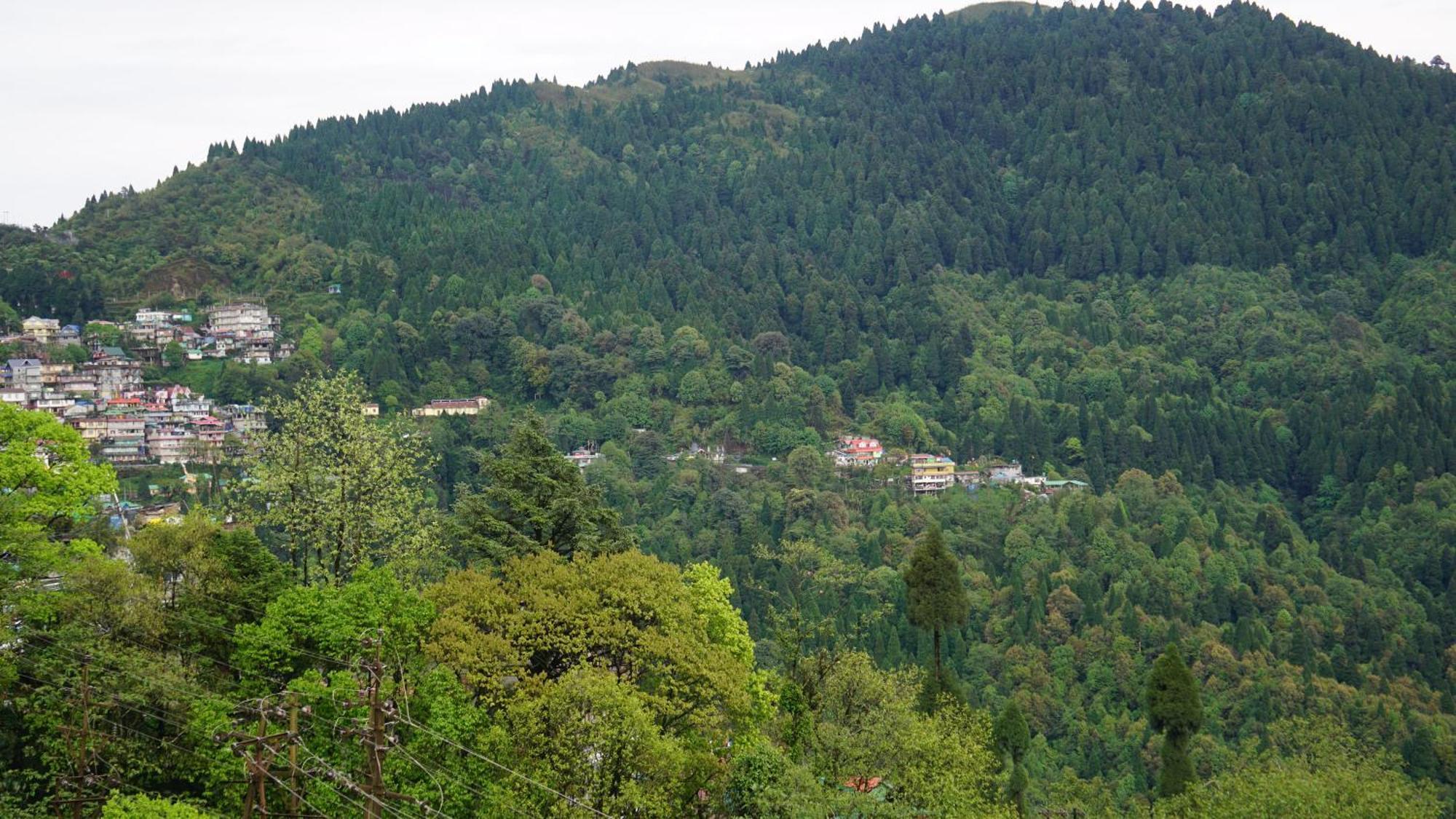 Tranquil Retreat Homestay Ghum エクステリア 写真