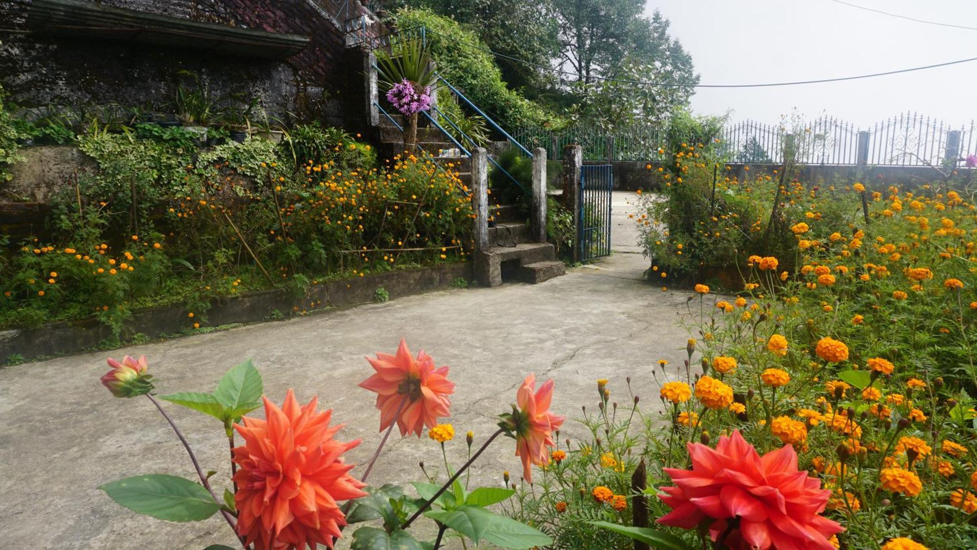 Tranquil Retreat Homestay Ghum エクステリア 写真