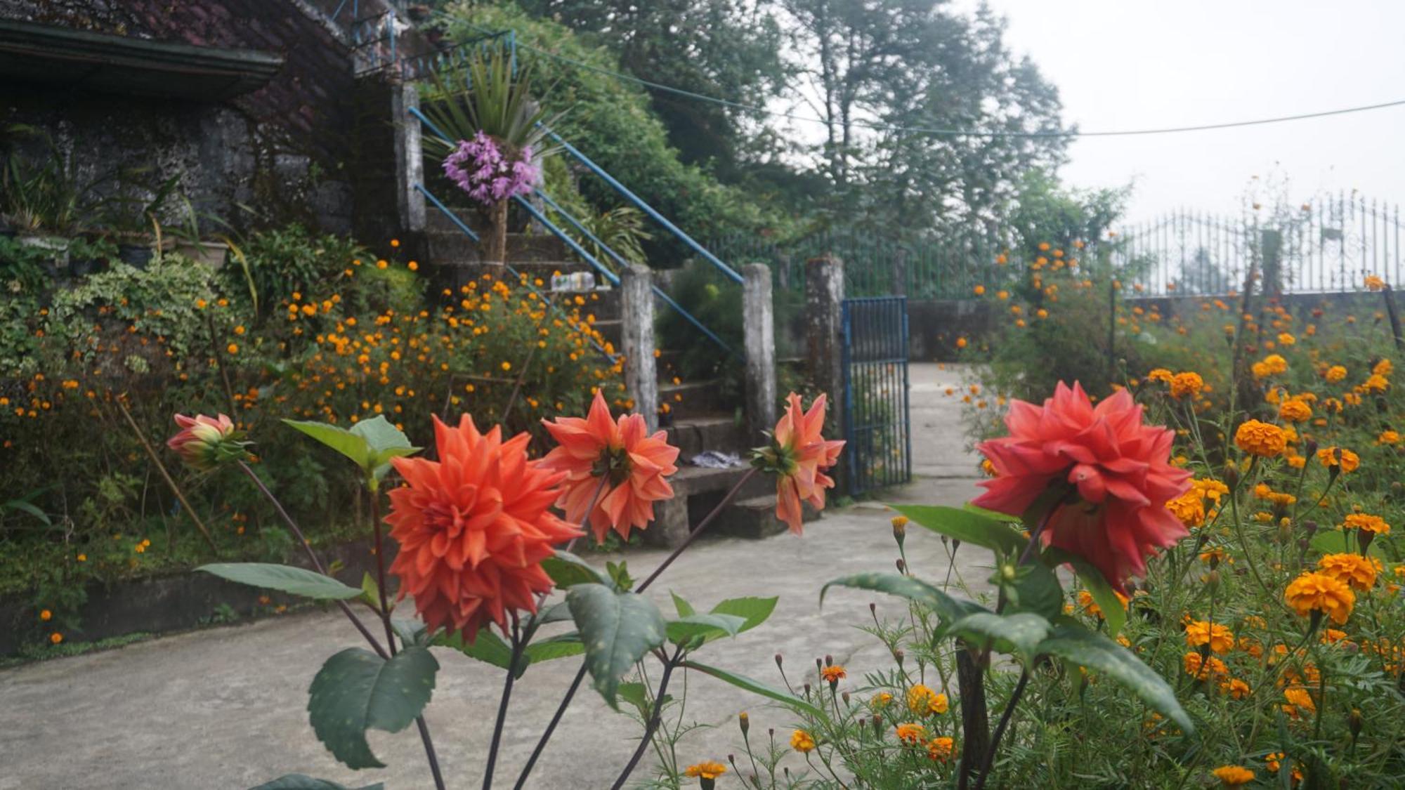 Tranquil Retreat Homestay Ghum エクステリア 写真