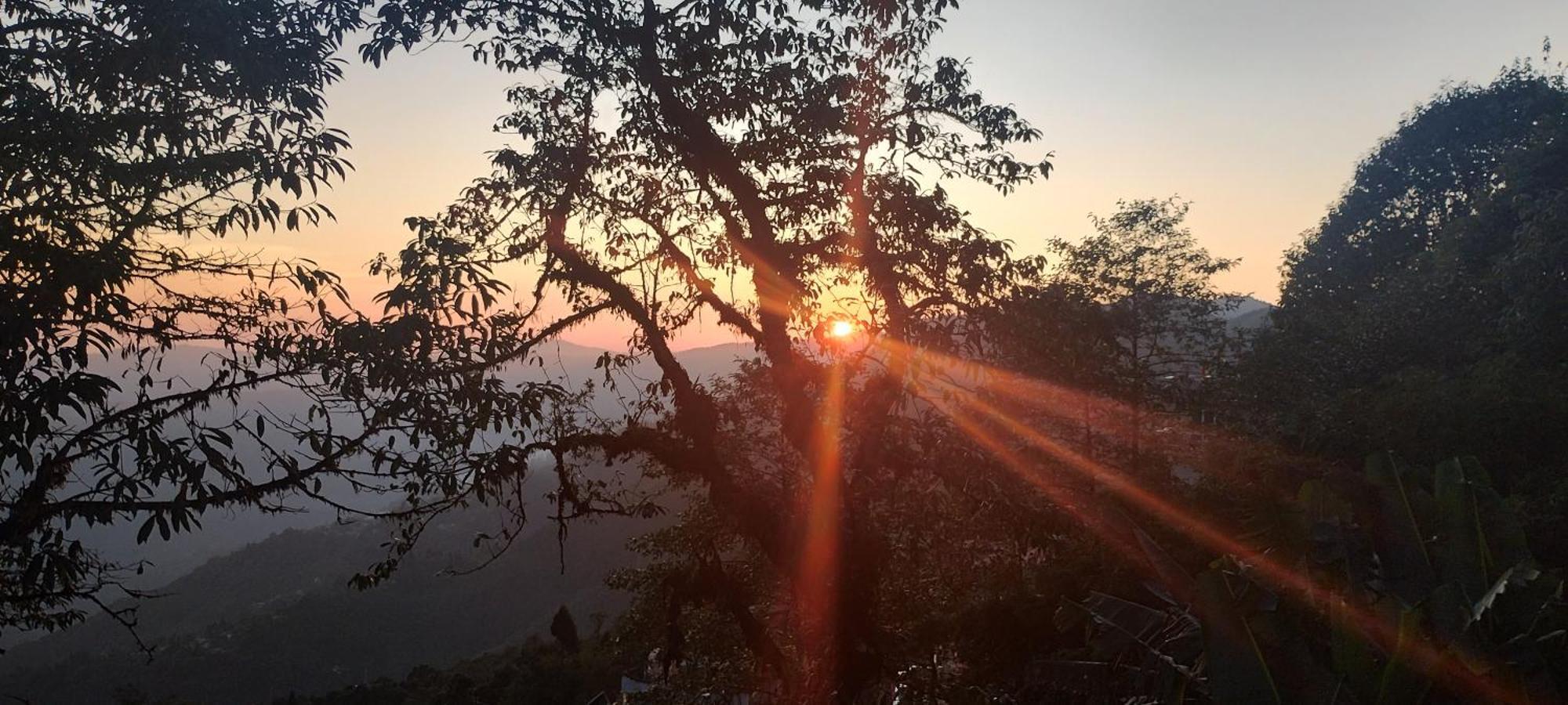 Tranquil Retreat Homestay Ghum エクステリア 写真